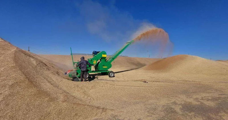 Расширяются география и объемы зернового экспорта