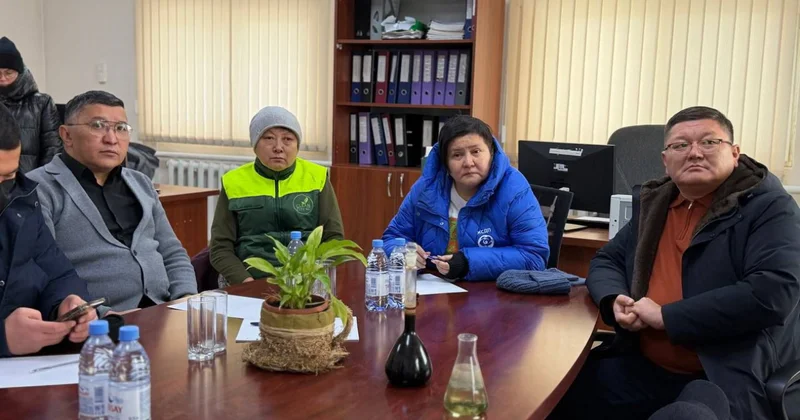 Депутат қоқыс шығаратын компаниялардың қызметін сынға алды