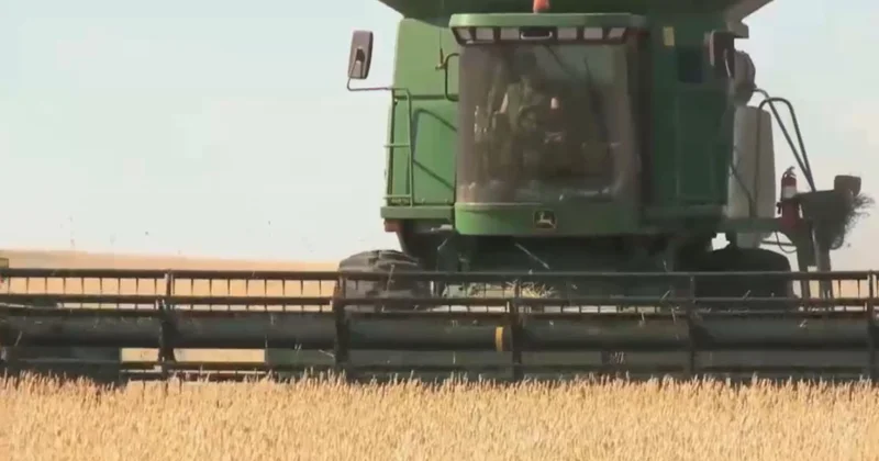 Қ. Тоқаев: Шағын шаруашылықтар жет­кі­лікті көлемде субсидия ала алмай отыр