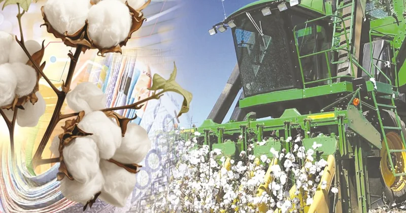 Мақта тоқыма кластері: Жаңа индустриялық кезең