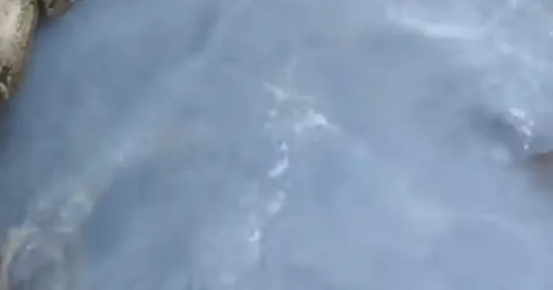 Вода посинела: ещё одну реку в Шымкенте проверяют экологи