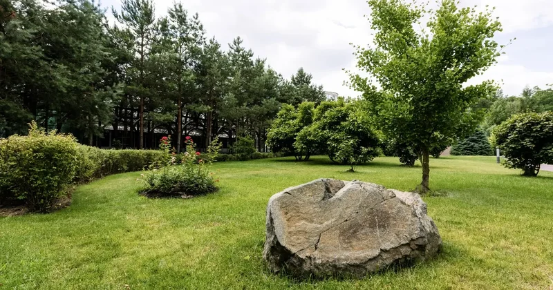 Валуны и настилы вместо скамеек: экопарки в Казахстане обустроят с минимальным вмешательством в природу