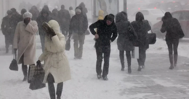 Жамбыл облысында қатты жел үйдің шатырын ұшырып әкетті