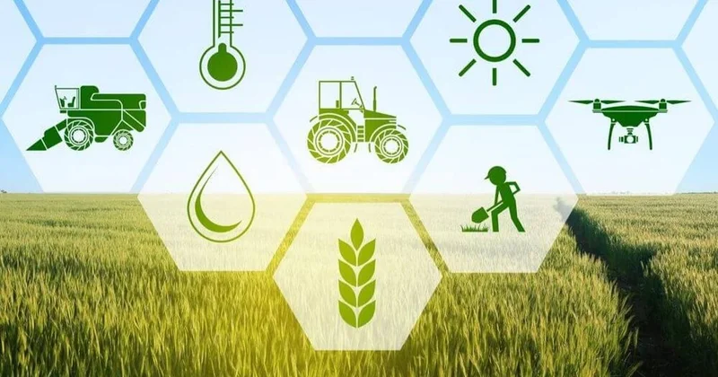 Ауыл шаруашылығы деректерін біріктіретін Е АӨК платформасы іске қосылады