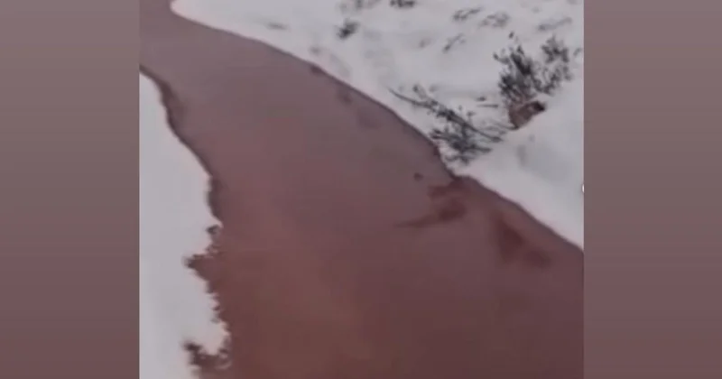 Вода цвета крови потекла по арыкам Макинска следы привели на завод