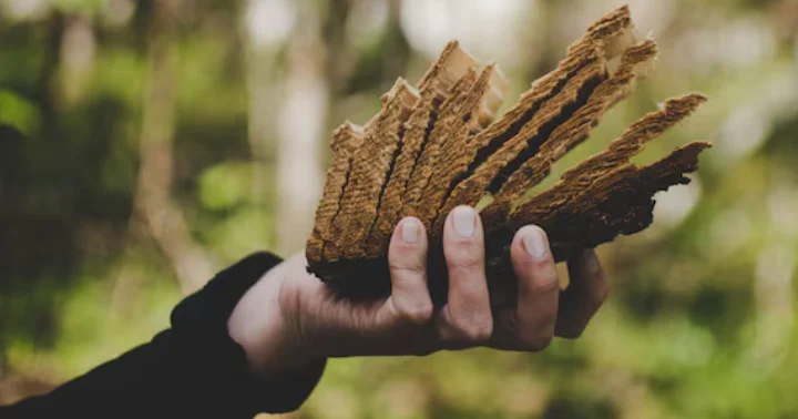 Қазақстанда жер қойнауын пайдалану және атом саласындағы цифрлық ынтымақтастық мәселелері талқыланды