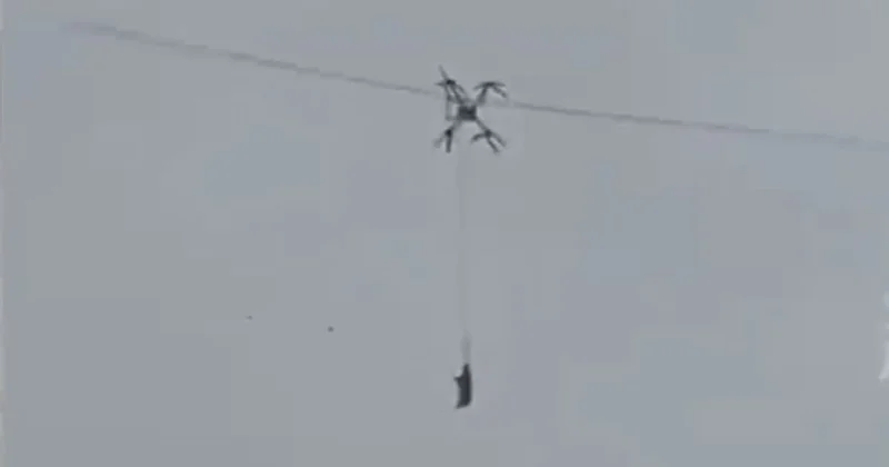 Свинья на дроне на 10 часов оставила тысячи китайцев без электроэнергии (видео)