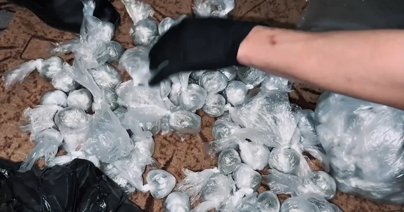 Алматыда жасырылған есірткі зертханасы әшкереленді