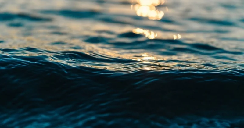 Река Карасу сменила цвет в Шымкенте (ВИДЕО)