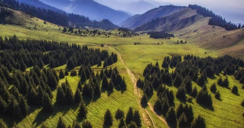 Две девушки заблудились на Кок Жайлау в Алматы