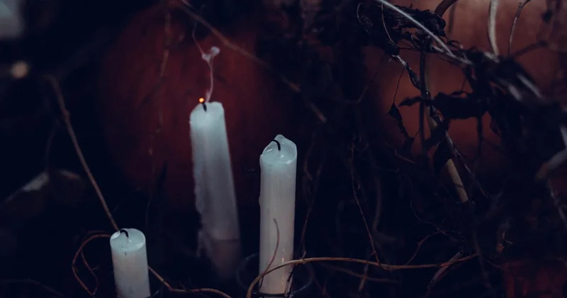 Гадалка обманула клиентку на 51 млн тенге в России