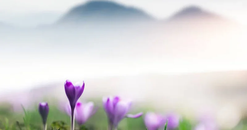 Өңірлерде бүгін боран, көктайғақ және тұман болуы мүмкін