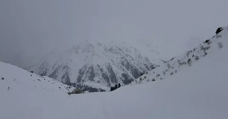 ТЖМ бірнеше облыста қар көшкіні жүруі мүмкін екенін ескертті