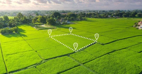 150 тысяч га земель возвращено в госсобственность в Алматинской области