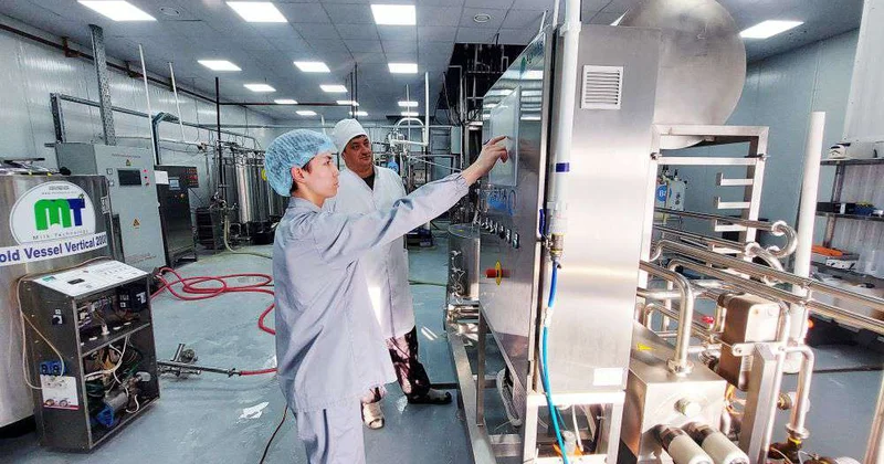 Технологии зарубежные, саумал казахстанский