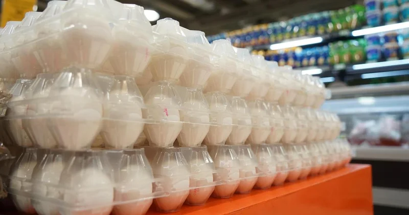 Важные решения по говядине, картофелю и яйцам приняли в Казахстане