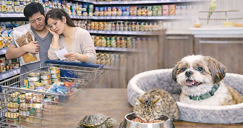 За удовольствие нужно платить