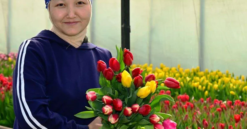 От теплицы до букета