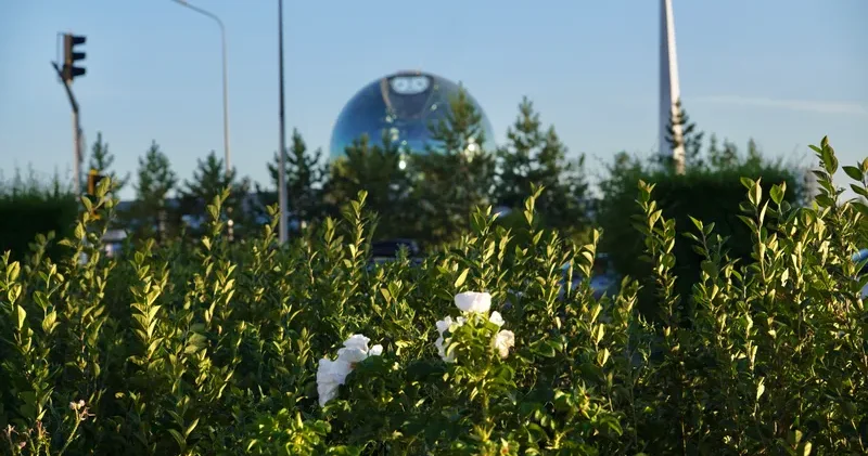 Астанадағы орман сауық аймағының шекарасы бекітілді