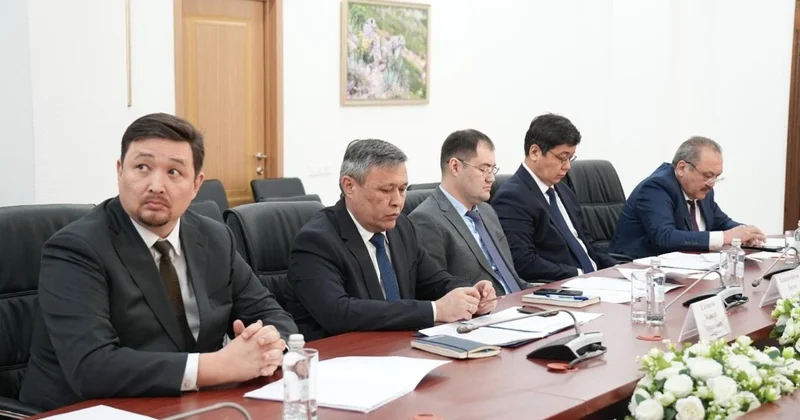 Қазақстан мен Өзбекстан Арал теңізінің құрғаған табанында жасыл желек отырғызу жұмысын талқылады