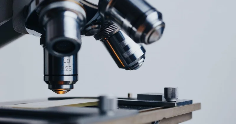 Пересадка кала может омолодить яичники