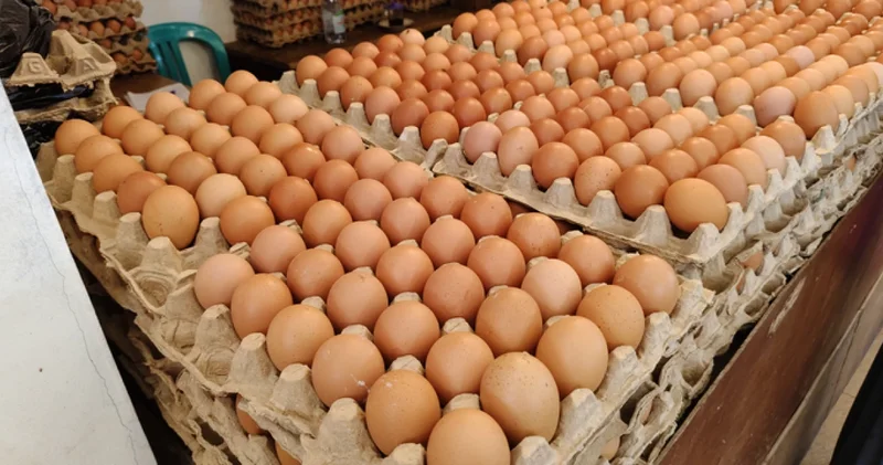 ЕАЭО елдерінен жұмыртқаны импорттауға тыйым салынады