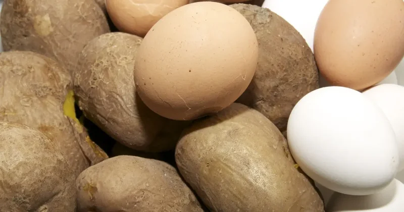 Экспорт картофеля не ограничат, а импорт яиц запретят в Казахстане решения правительства