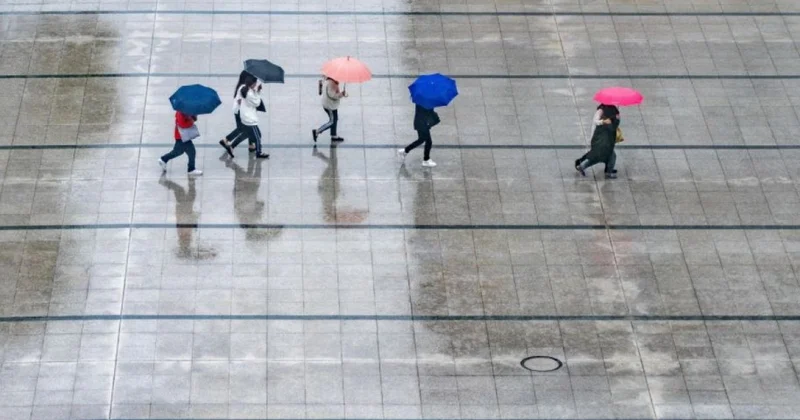 Весна на паузе: когда наладится погода в Шымкенте