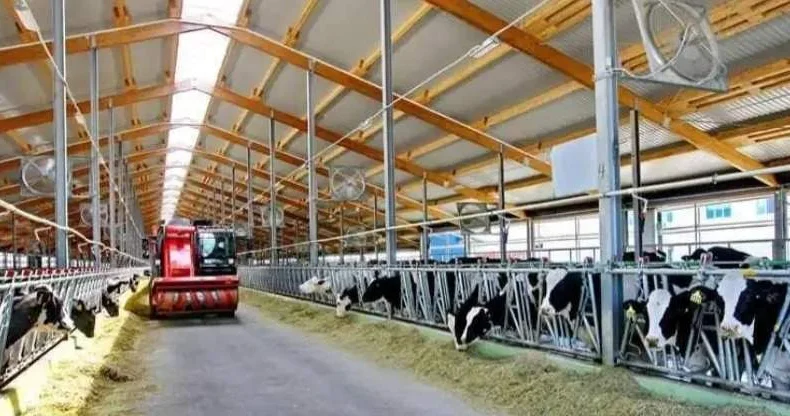 Қазақстан мен Грузияның агроөнеркәсіп өнімдері бойынша өзара сауда көлемі 77 пайызға өскен