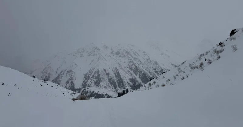 МЧС предупредило о возможном сходе лавин