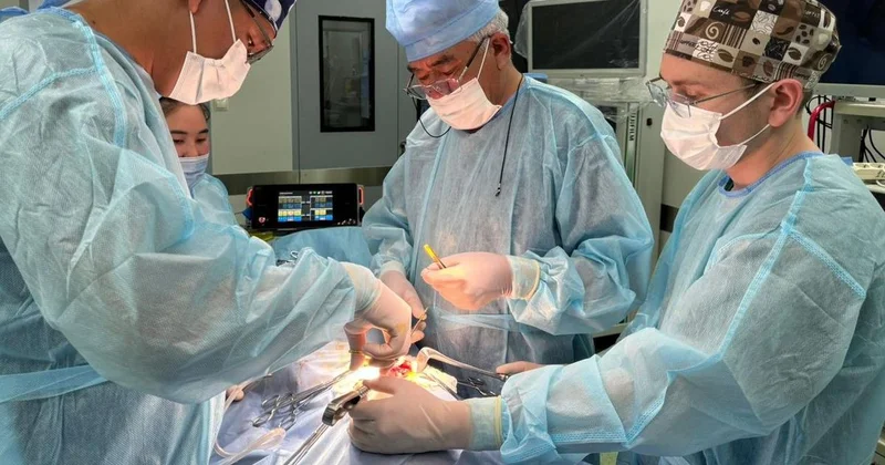 Врачи в третий раз удалили ком волос из желудка 12 летней девочки в Алматы