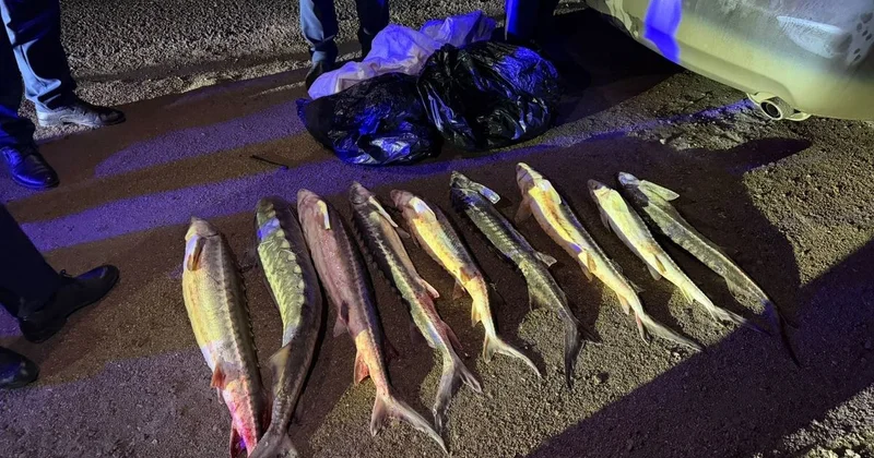 Мужчину с красной рыбой задержали в Актау