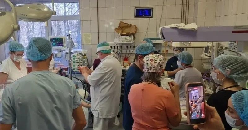 Ресейде алғаш рет біржұмыртқалы төртем дүниеге келді