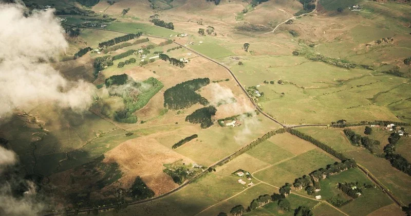 Акимат заберет участки жителей Алматы во временное пользование: подробности