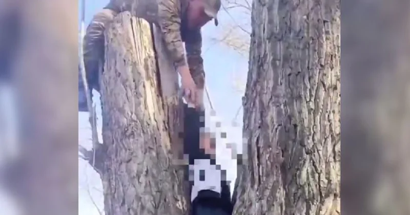 Ребенок застрял на дереве в области Абай: в ситуацию пришлось вмешаться спасателям (видео)