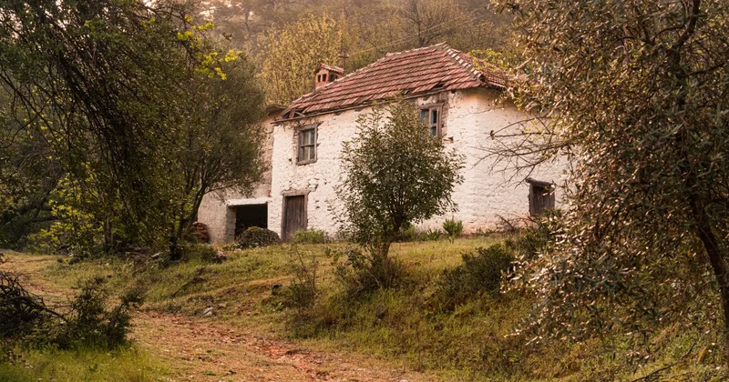 Мумии в доме под Павлодаром: полиция раскрыла детали уголовного дела