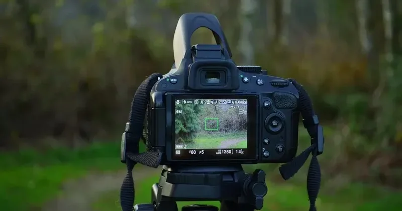 Блогерге қоршау арқылы 15 млн теңге берілген: сот үкім шығарды