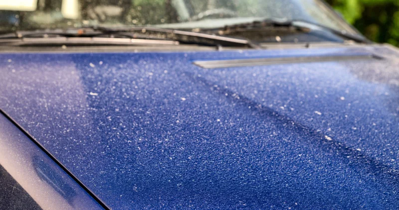 Сарапшы көктемдегі көлікке төнетін күтпеген қауіп туралы айтты