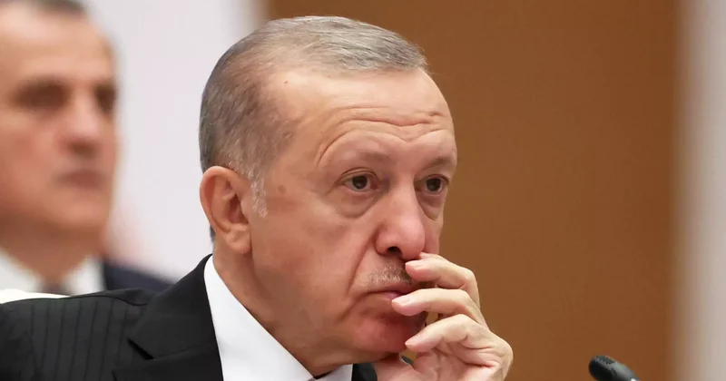 Ердоған үкіметпен Украина мәселесін талқылайды дереккөз