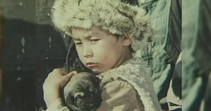 Менен де зорлар өтті ғой, сый көрмей : Көксеректегі Құрмаш баланың қиын тағдыры жайлы білесіз бе?