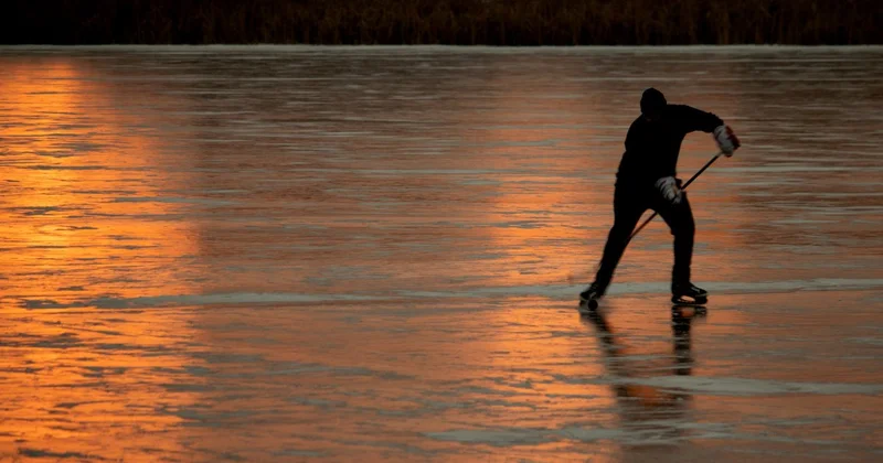 Экс главу ХК Кулагер отправили в колонию в СКО