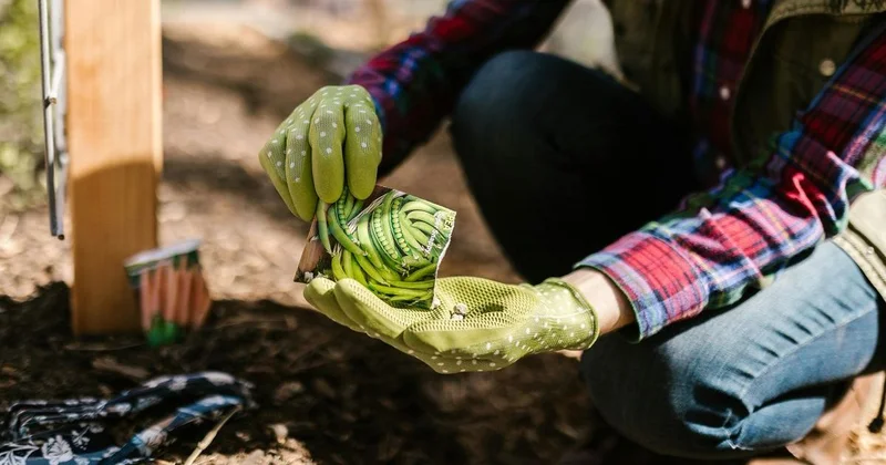Казахстанка заработала около 150 млн тенге на объявлениях и оказалась на скамье подсудимых
