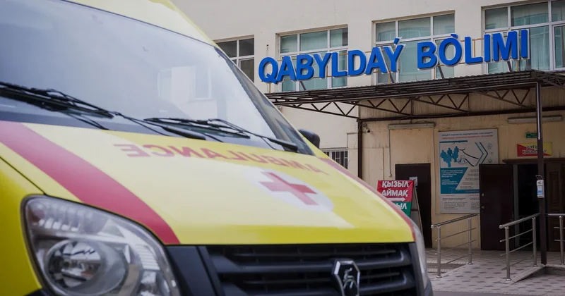 Павлодарда ер адам қорғансыз мысықты құтқарамын деп қаза тапты