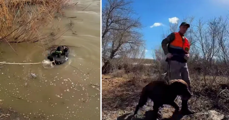 Ушёл играть и не вернулся