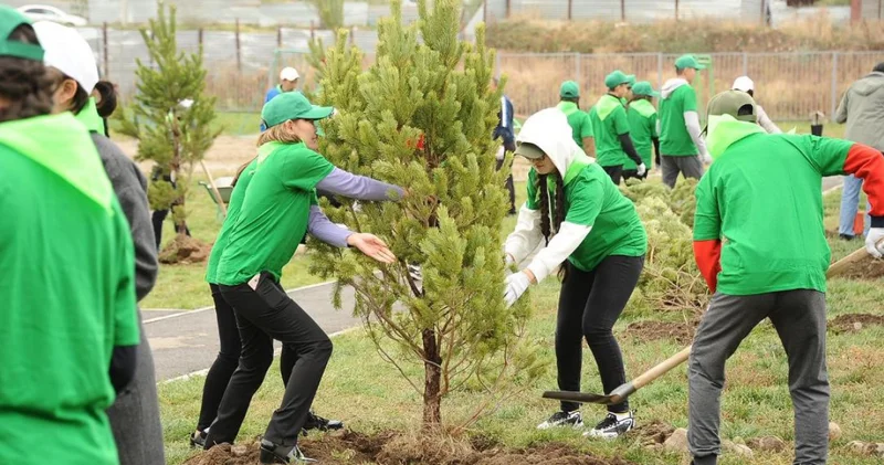 Таза Қазақстан жобасының аясында биыл Алматыда 550 мыңнан астам жасыл желек егіледі