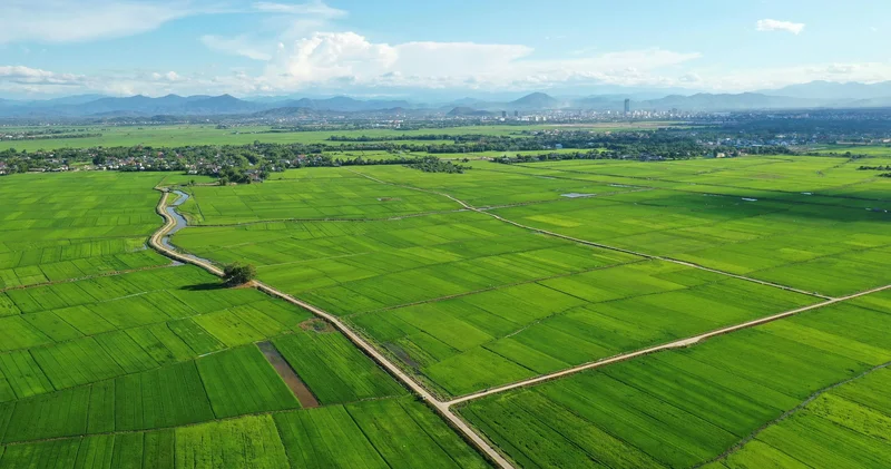 Ақтөбеде тұрғын үй құрылысына берілген жер сот арқылы мемлекетке қайтарылды: себебі белгілі болды