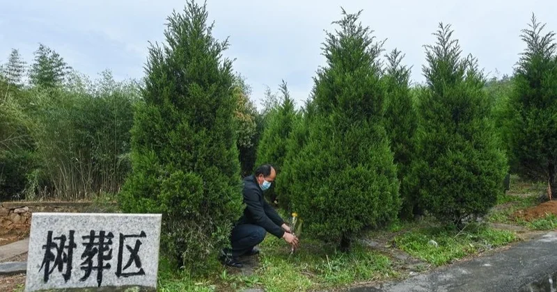 Қытайда жерлеу қызметтеріне арналған ресми веб портал іске қосылды