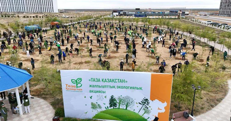 Мангистау в цвету