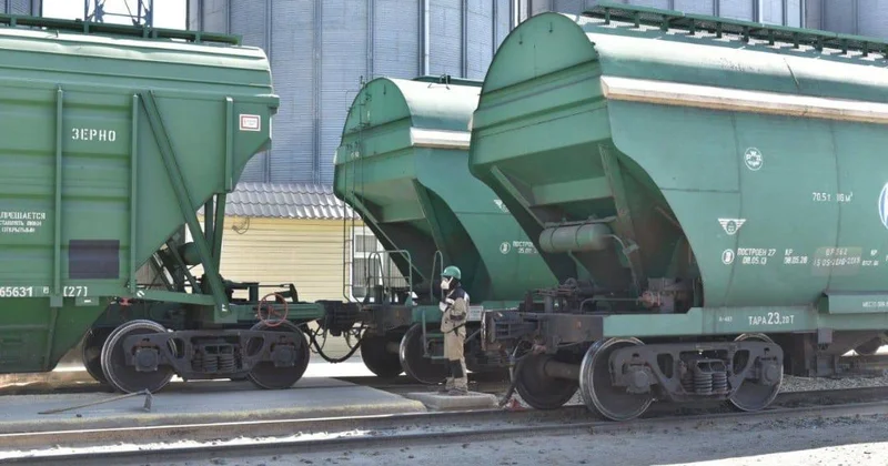 Казахстан экспортировал более 11 тонн зерна и муки на зарубежные рынки