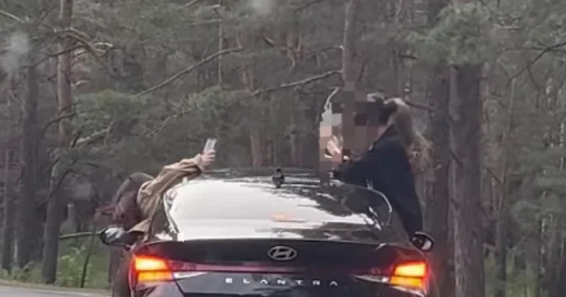 Девушки рисковали жизнью на трассе в Боровое